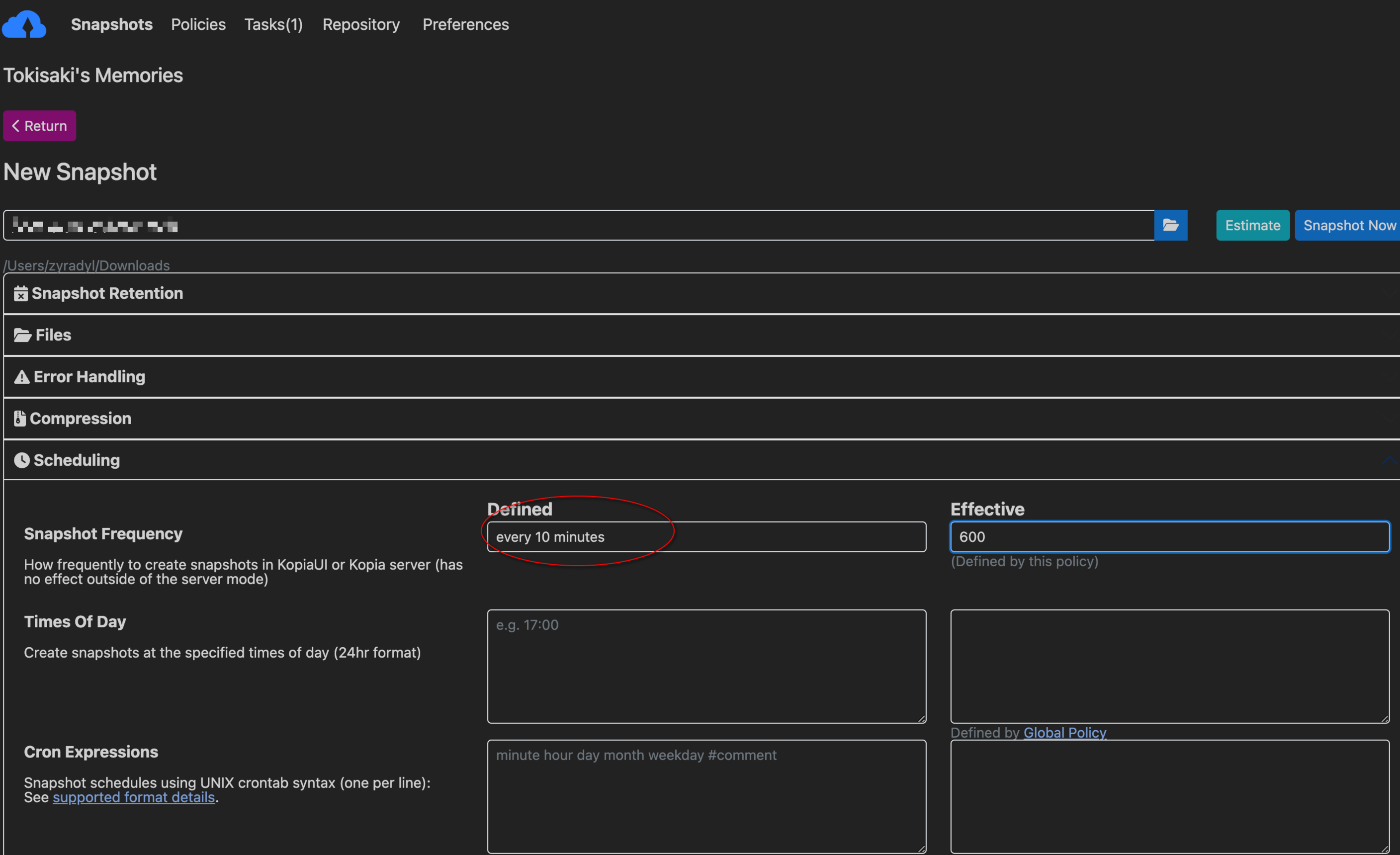 Kopia Snapshot Settings